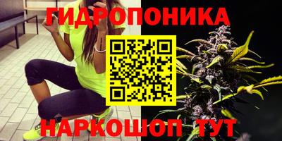 кристаллы Можга