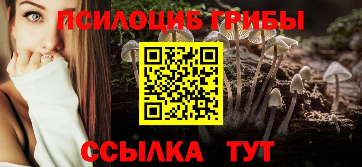 что такое   Вход с VPN  Тосно  Галлюциногенные грибы GOLDEN TEACHER  Галлюциногенные грибы Cubensis 