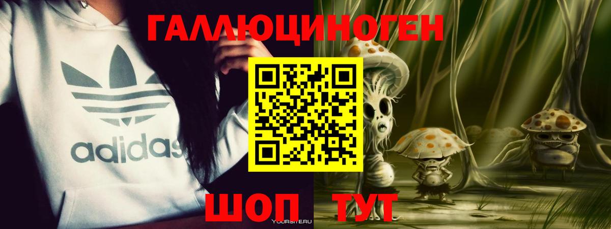 Псилоцибиновые грибы GOLDEN TEACHER Тосно